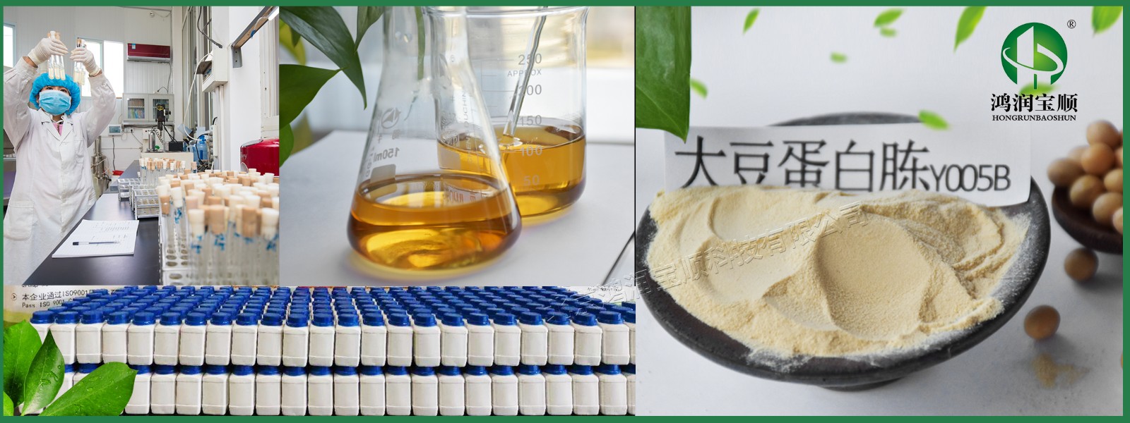 鴻潤寶順大豆蛋白胨在保健食品中的應用與健康價值